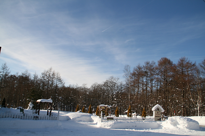 １月2日　　大沼　　ランバーハウスにて_c0112479_17323920.jpg