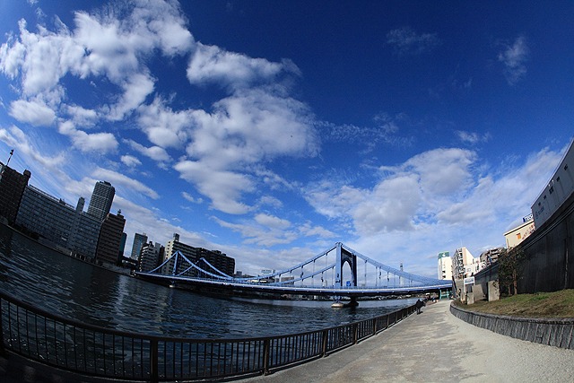 迎春　Tokyo Bay Sumida River_e0025779_1215173.jpg