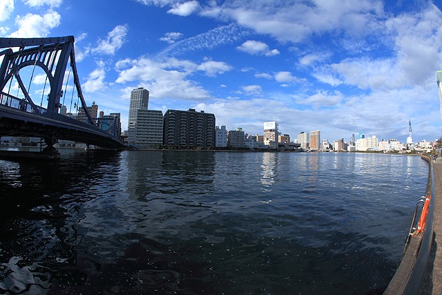 迎春　Tokyo Bay Sumida River_e0025779_1224798.jpg