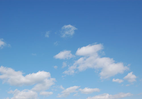 b0183681_8463120.jpg