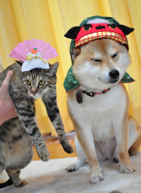 正しい元旦の過ごし方!?_a0126590_182125.jpg