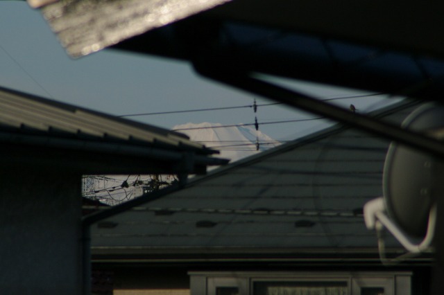 e0070891_1628321.jpg