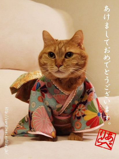 あけましておめでとうございます_d0025294_21354870.jpg