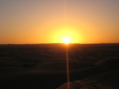 d0179100_12679.jpg