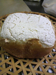 c0015706_15215328.jpg