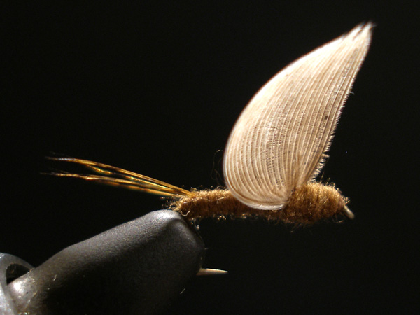 a0176707_0173089.jpg