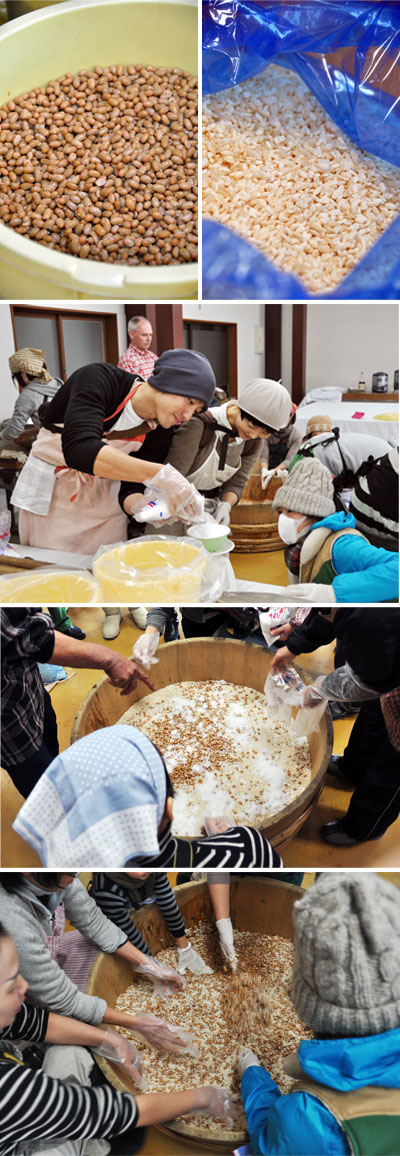 味噌作りワークショップ_d0023111_17465258.jpg