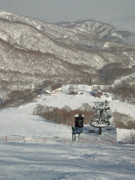 f0071311_1551146.jpg