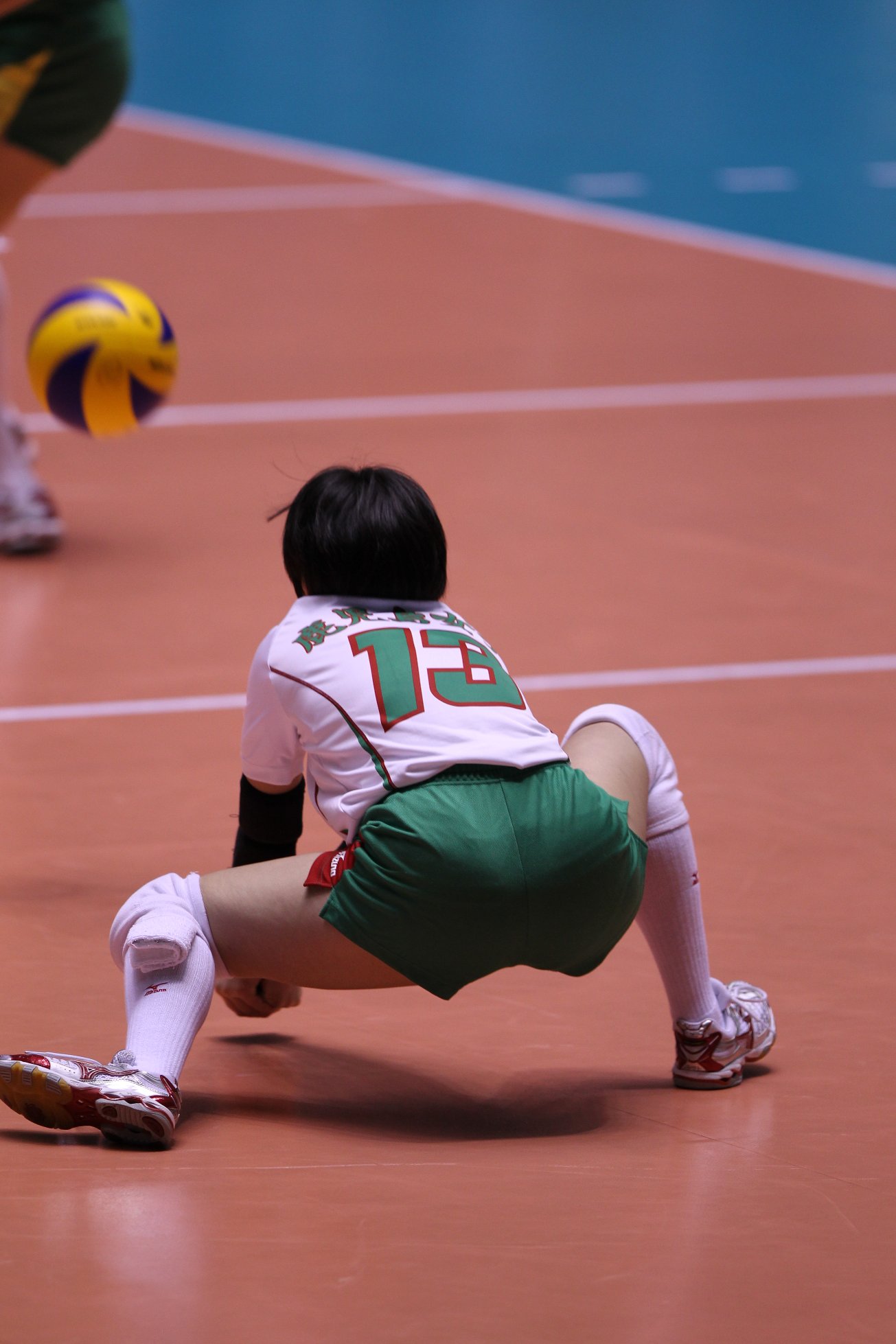 全日本女子バレーのパン線 