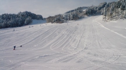 d0146612_19384.jpg