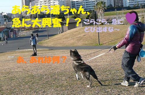 f0121712_1452380.jpg