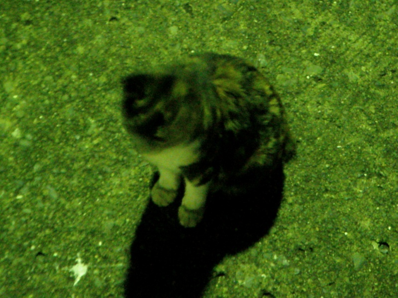 c0022113_1255432.jpg