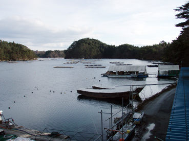 宮城県気仙沼市・NPO法人森は海恋人へ（2011.01.02）_d0204017_2254991.jpg