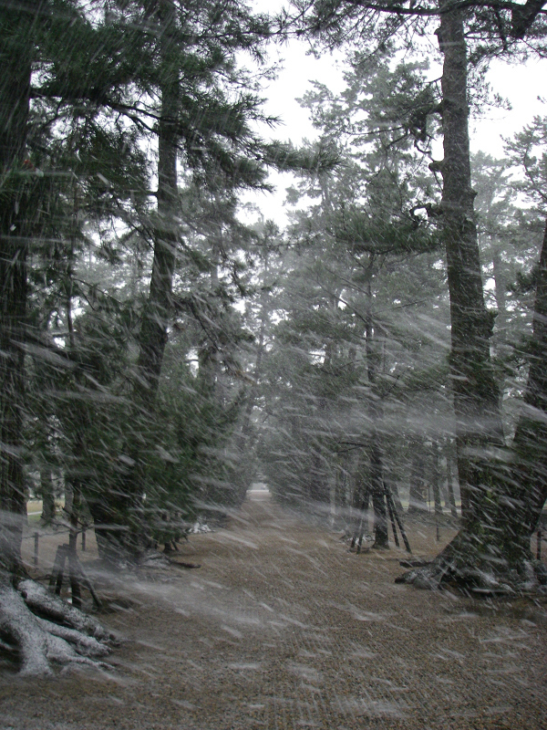 c0057221_2052512.jpg