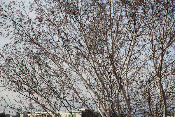 f0077521_23105531.jpg