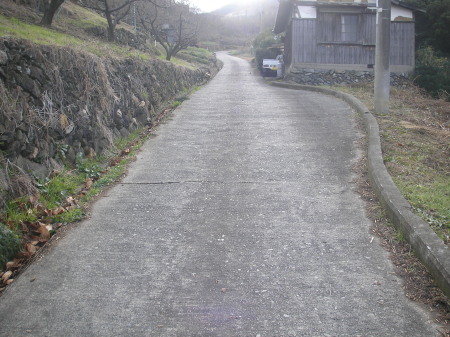 a0048823_16135252.jpg