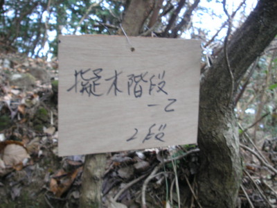 a0048823_16503591.jpg