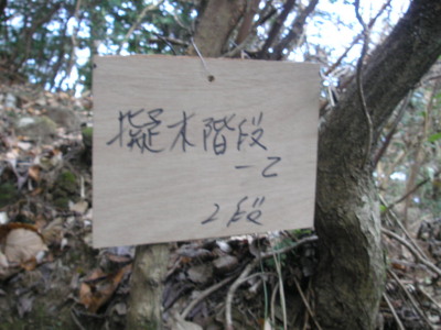 1/3 初登りは竜門山_a0048823_16503591.jpg