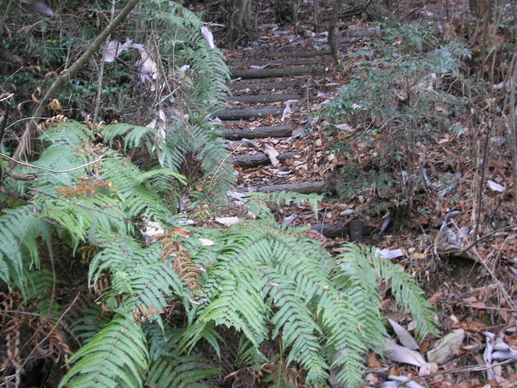 1/3 初登りは竜門山_a0048823_179276.jpg