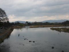 d0149223_13471520.jpg