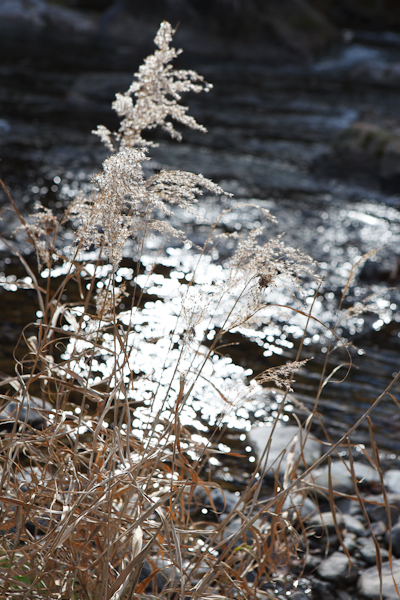 c0162926_1720695.jpg