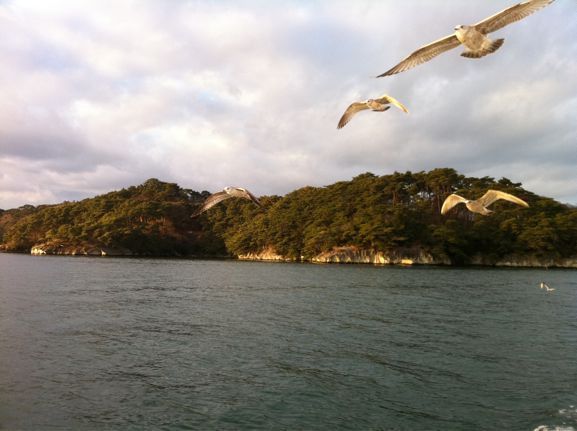 お正月仙台  大崎八幡宮様と松島_a0123331_17441062.jpg