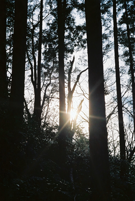 c0204031_20201211.jpg