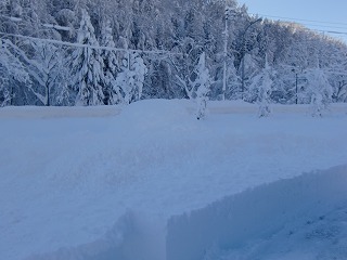 大雪でした!!_b0206037_132876.jpg