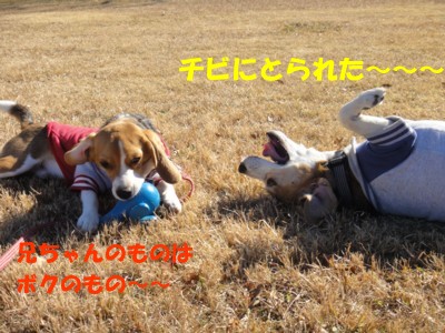 c0119142_1402695.jpg