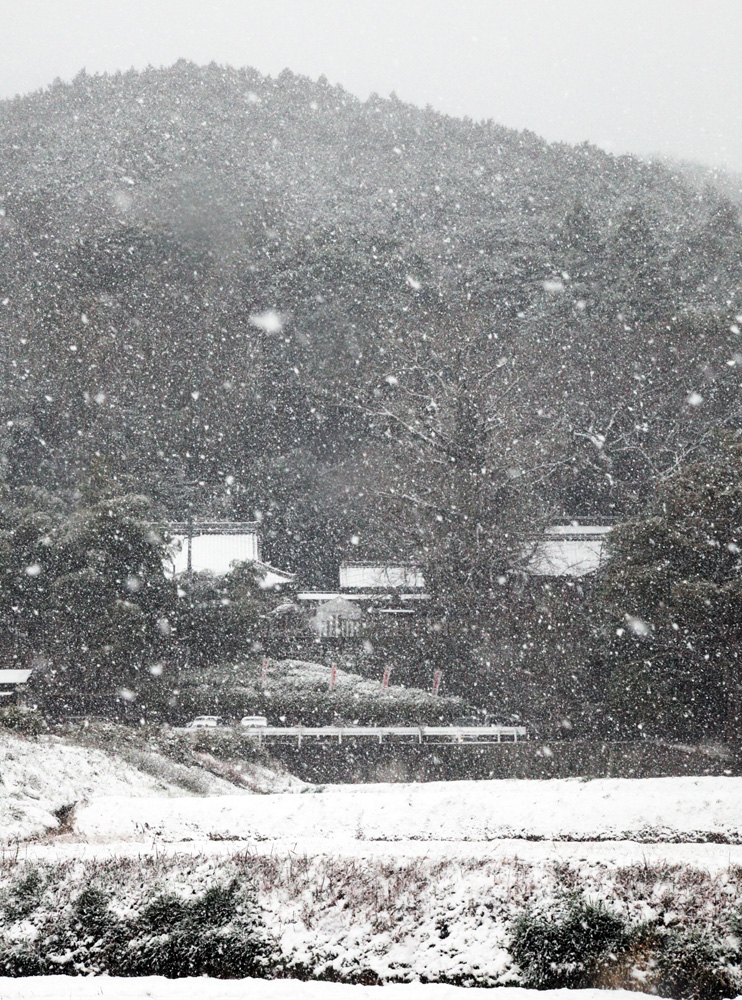 御所市　一言主神社（ひとことぬしじんじゃ）　雪が舞う_c0108146_226814.jpg