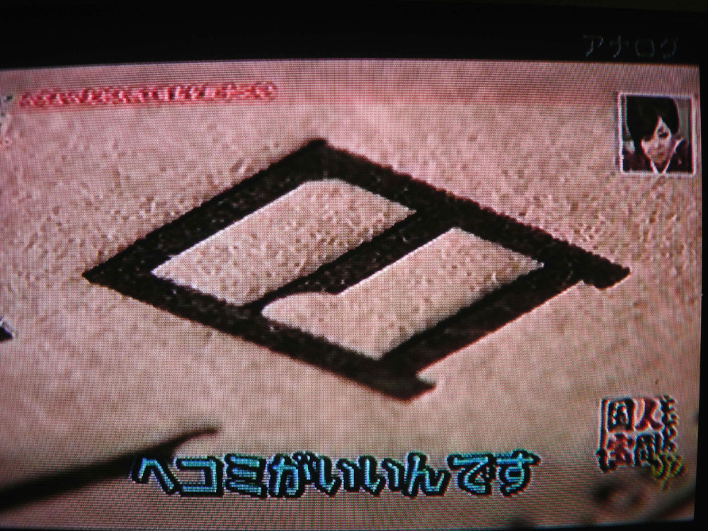 正月のテレビ番組　　　　　　　　　　　　　2011.1.3._f0151647_1701284.jpg