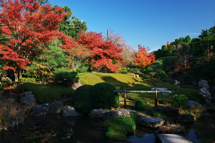 秋の退蔵院(妙心寺塔頭・退蔵院)_f0155048_22274817.jpg