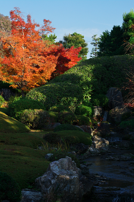 秋の退蔵院(妙心寺塔頭・退蔵院)_f0155048_22275618.jpg