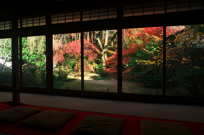 秋の退蔵院(妙心寺塔頭・退蔵院)_f0155048_22282248.jpg