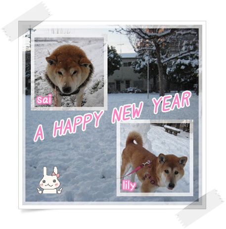 今年もよろしく!_c0049950_1913150.jpg