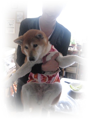今年もよろしく!_c0049950_19323664.jpg