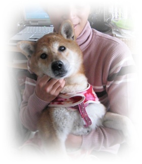 今年もよろしく!_c0049950_19341481.jpg