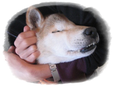 今年もよろしく!_c0049950_19351237.jpg