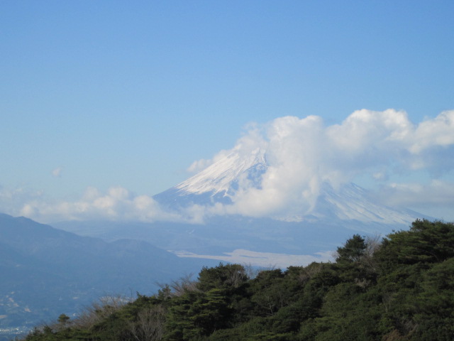 静岡　*伊豆高原+箱根*　２日目_a0162251_17464948.jpg