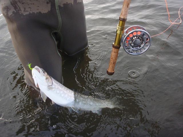 c0097652_210571.jpg
