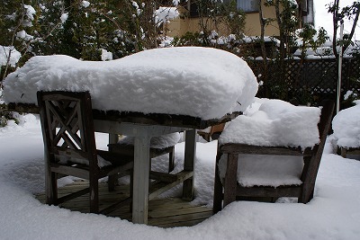 e0123255_033661.jpg