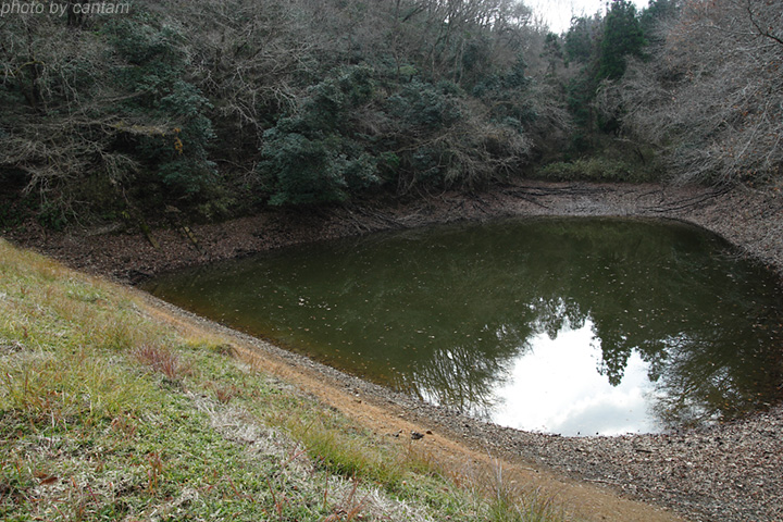 岡山県津山市 京堪坊池_f0091955_1512288.jpg