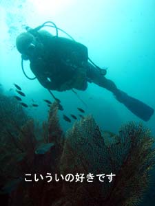 新年初シャーク♪_f0144385_2284573.jpg
