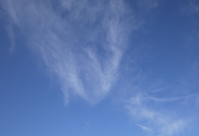 c0204088_13352939.jpg