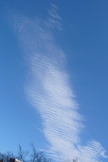 f0085495_23481894.jpg