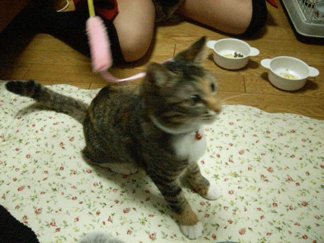 a0038698_13232455.jpg