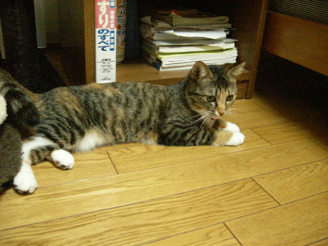a0038698_13292244.jpg