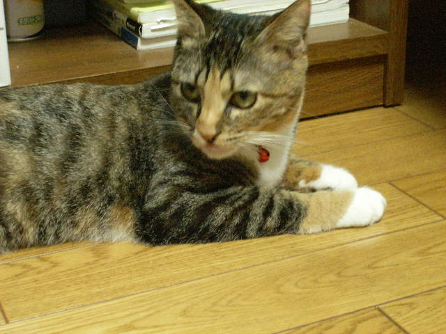 a0038698_13332310.jpg
