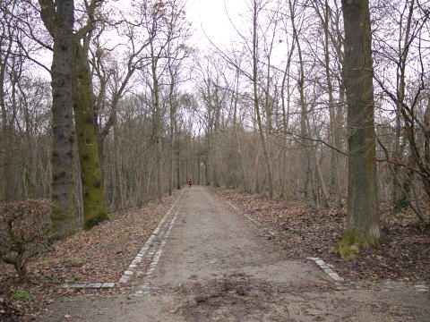 c0090198_454250.jpg
