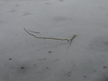 c0090198_4553220.jpg